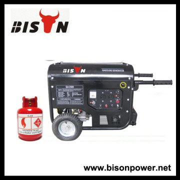 BISON (CHINA) 170F Motor Max Power 3kw Gerador de Biogás Preço